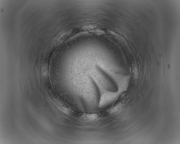 X0000067360665200604131818