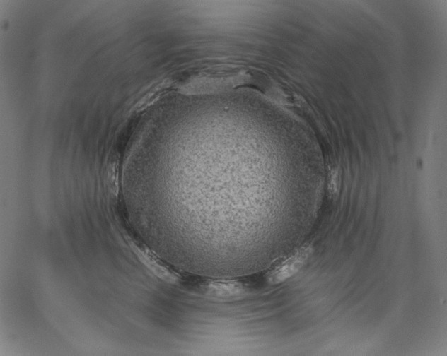 X0000067360666200604131818