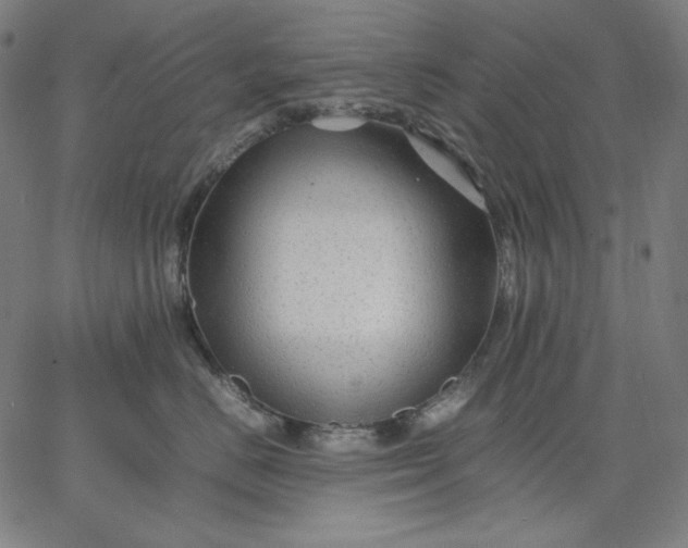 X0000067360670200604131818