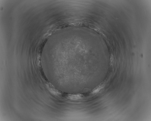 X0000067360671200604131818