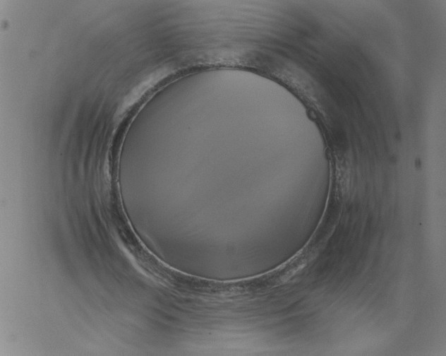 X0000067360674200604131817
