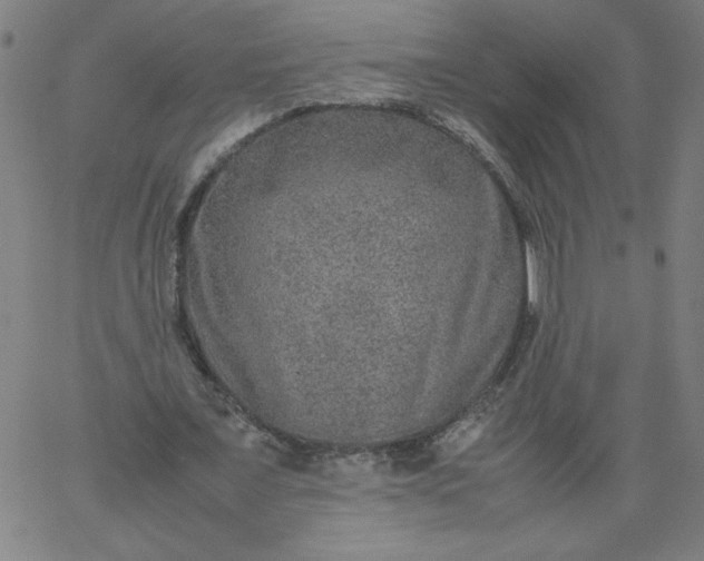 X0000067360675200604131817
