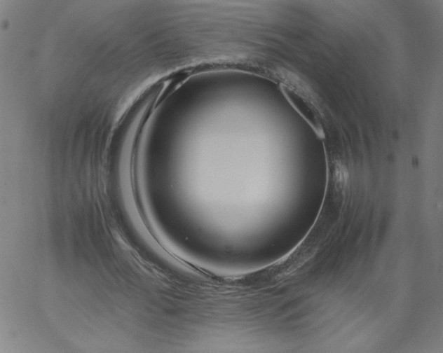 X0000067360676200604131817