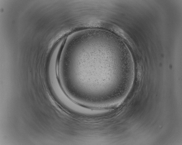 X0000067360677200604131817