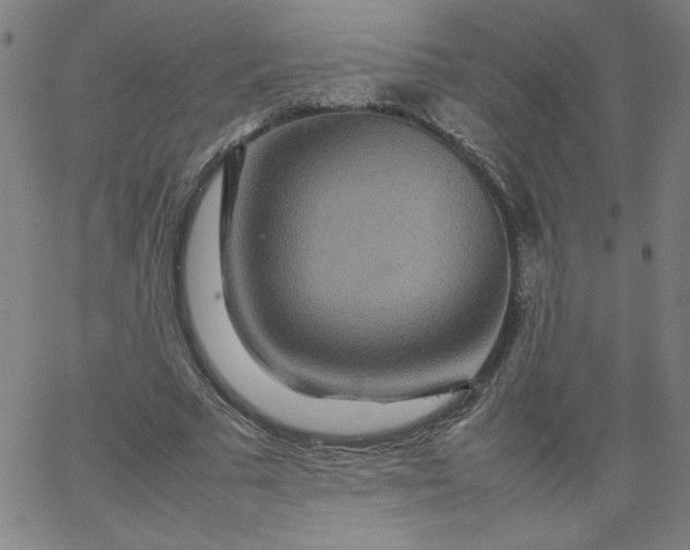 X0000067360681200604131817