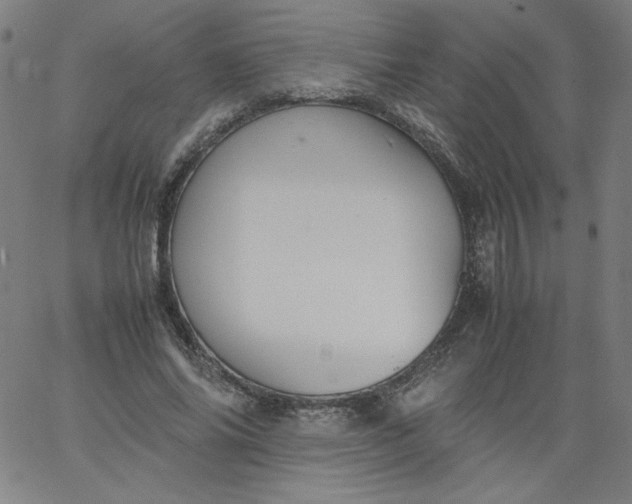 X0000067360686200604131817