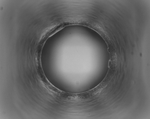 X0000067360688200604131817
