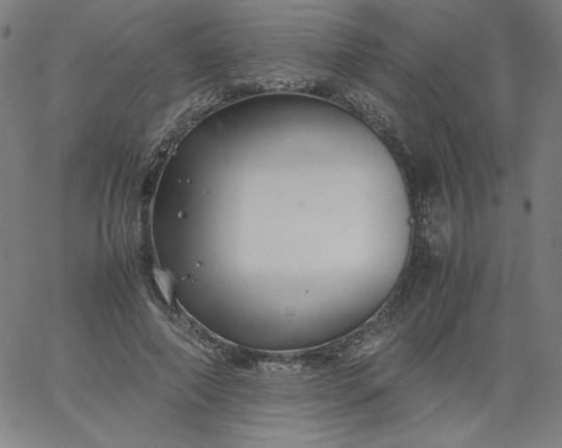 X0000067360690200604131817