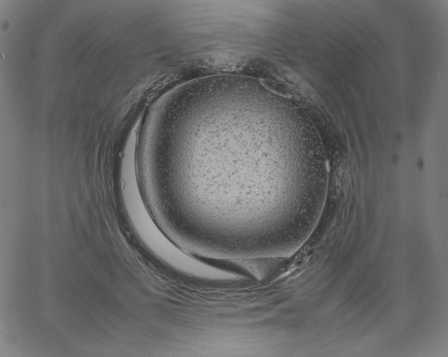 X0000067360693200604131817