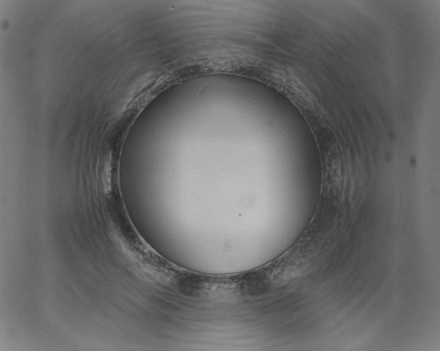X0000067360694200604131817