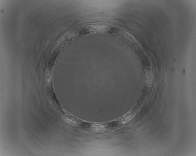 X0000067360701200604131816