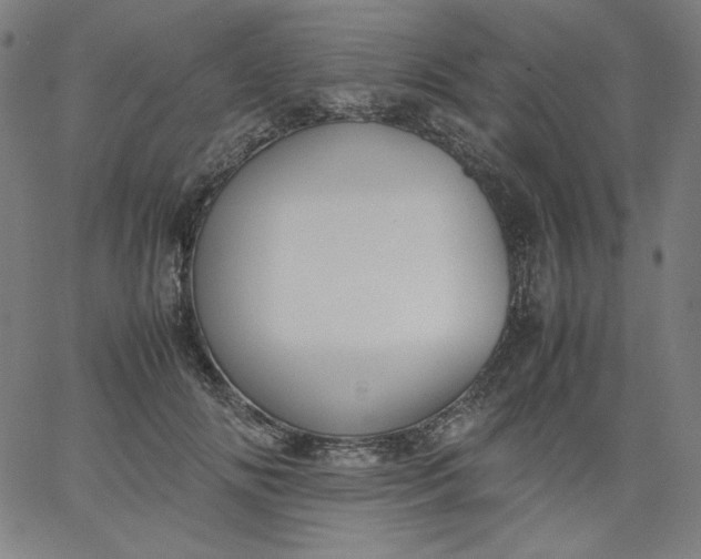 X0000067360702200604131816