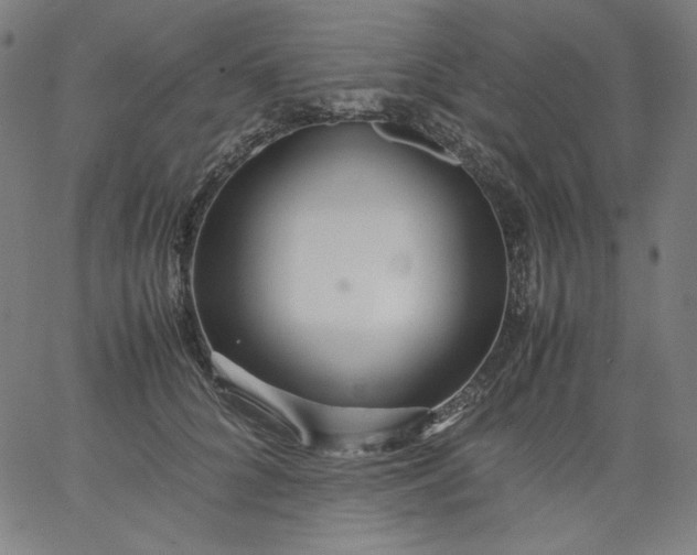 X0000067360704200604131816