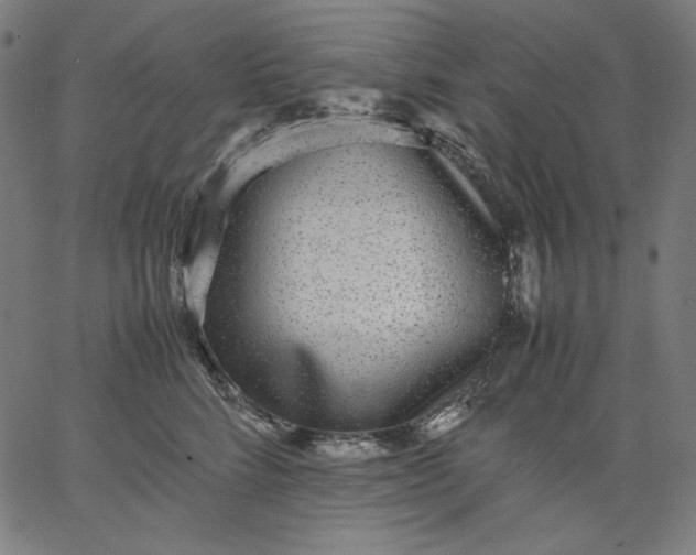 X0000067360712200604131816