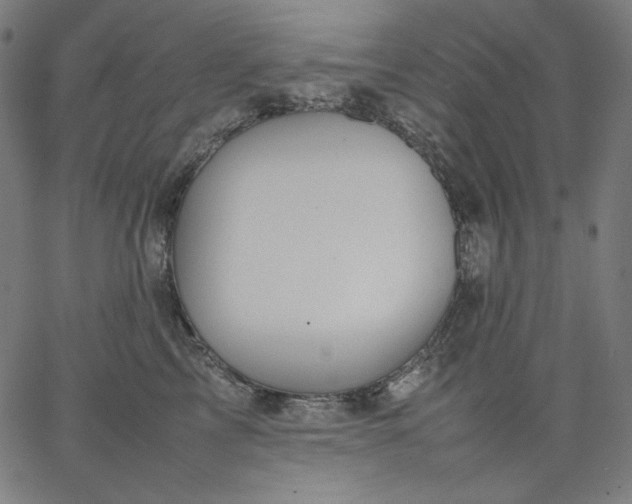 X0000067360713200604131816