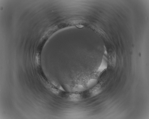 X0000067360718200604131816