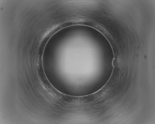 X0000067360732200604131816