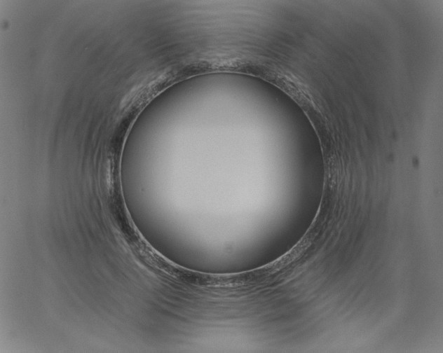 X0000067360740200604131816