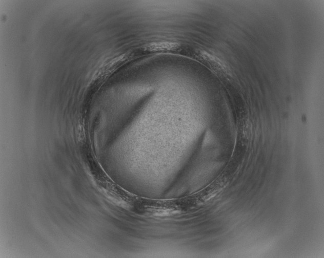 X0000067360743200604131816