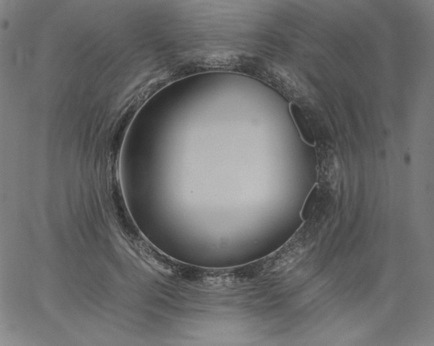 X0000067360744200604131816