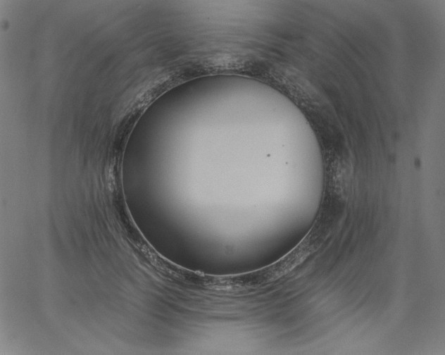 X0000067360746200604131816