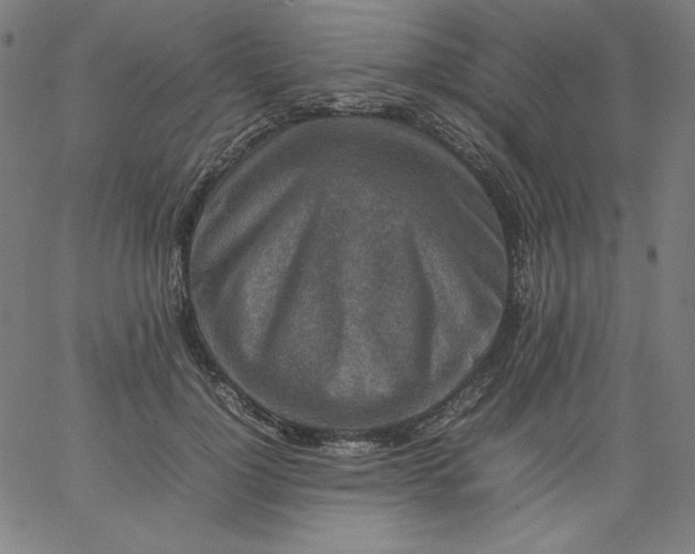 X0000067360748200604131816