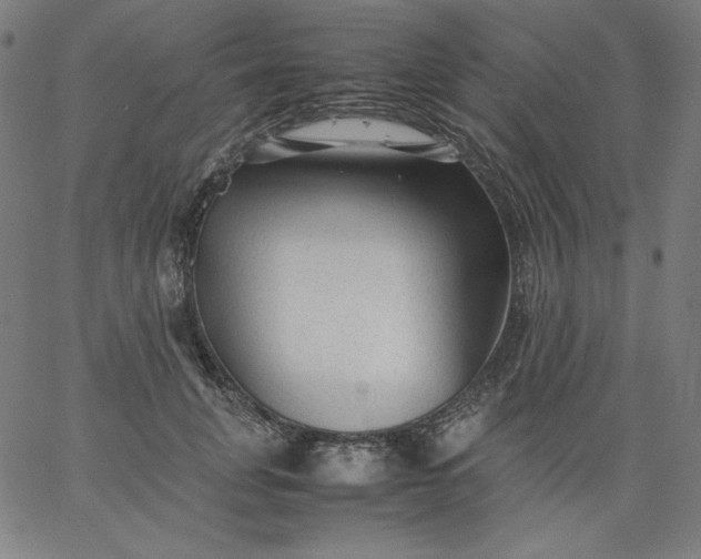 X0000067360751200604131816