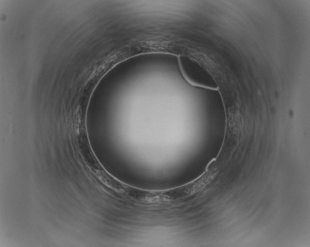 X0000067360752200604131816
