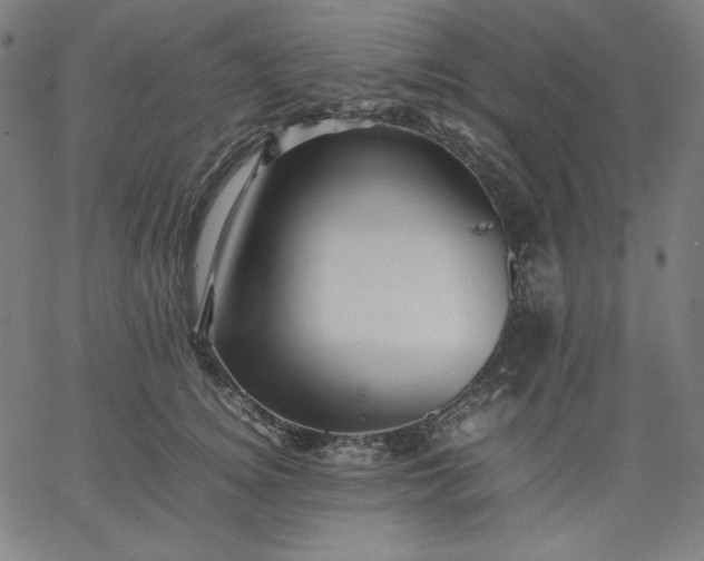 X0000067360756200604131816