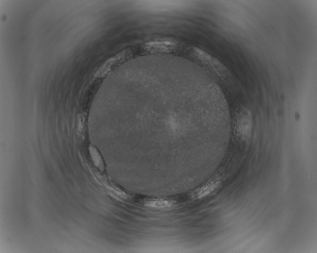 X0000067360759200604131816
