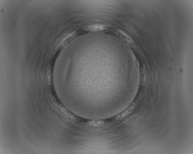 X0000067360762200604131816