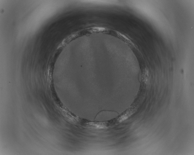 X0000067360763200604131816