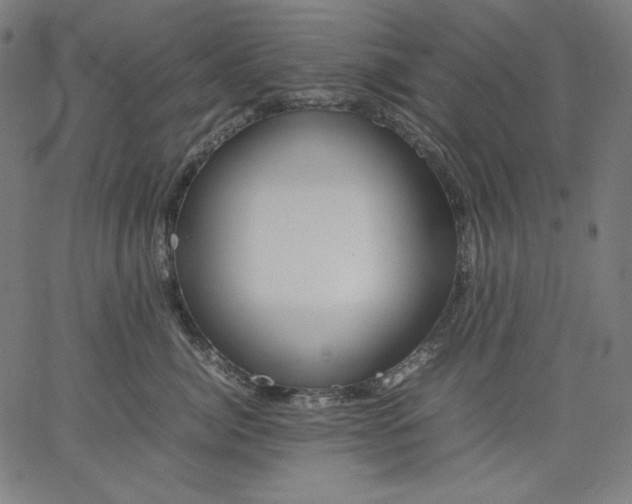 X0000067360764200604131816