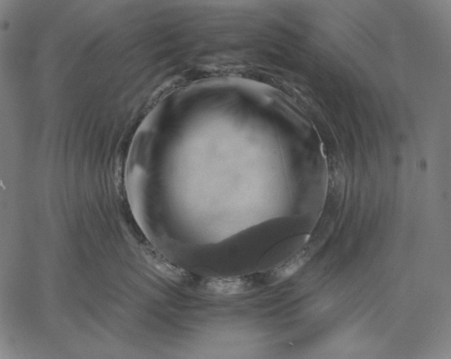 X0000067360767200604131816