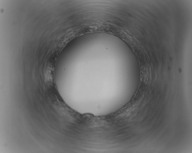 X0000067360770200604131815