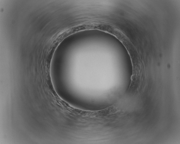 X0000067360773200604131815