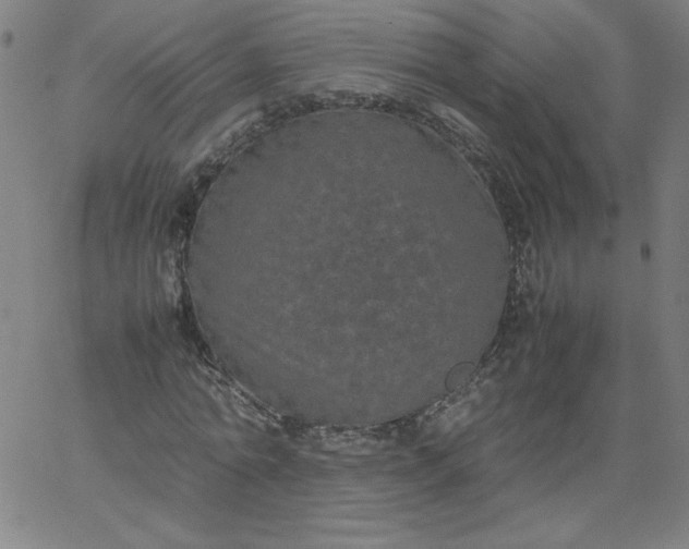 X0000067360774200604131815
