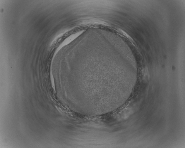 X0000067360775200604131815