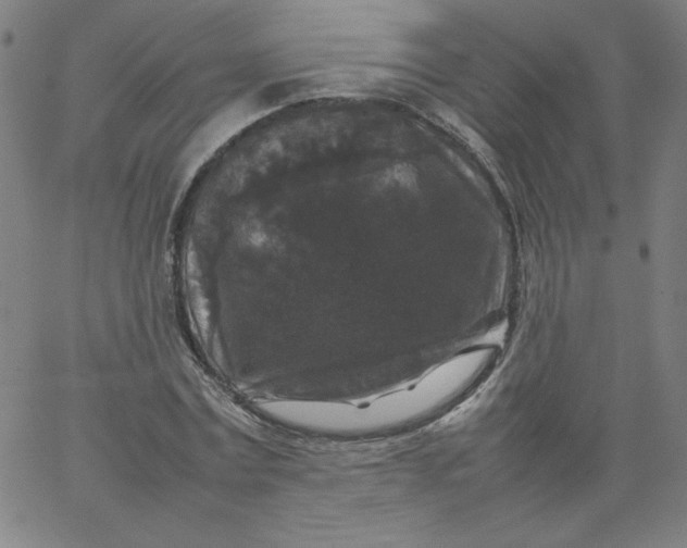 X0000067360779200604131815