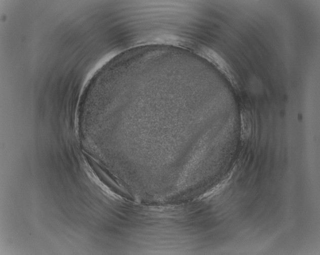 X0000067360780200604131815