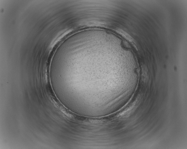 X0000067360782200604131815