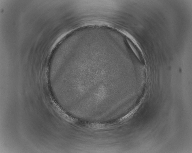 X0000067360783200604131815