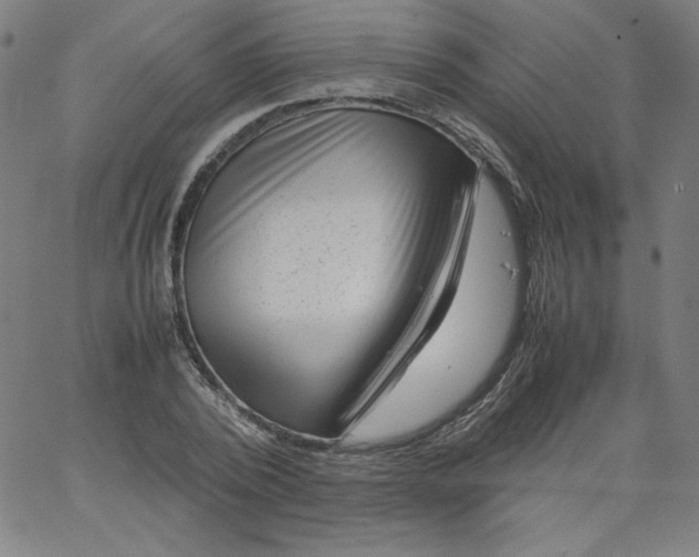 X0000067360784200604131815