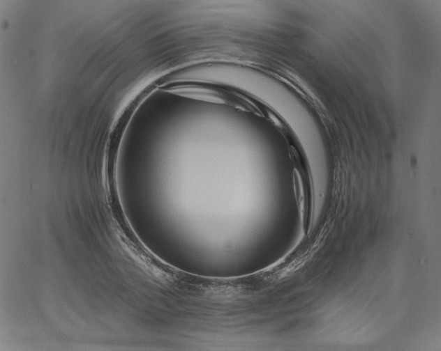 X0000067360788200604131815