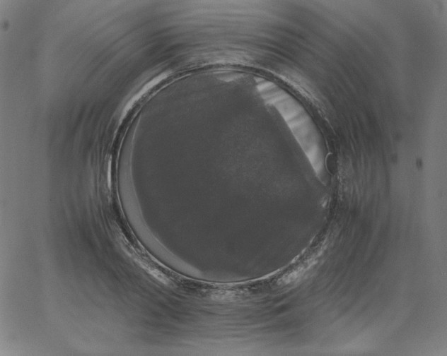 X0000067360790200604131815