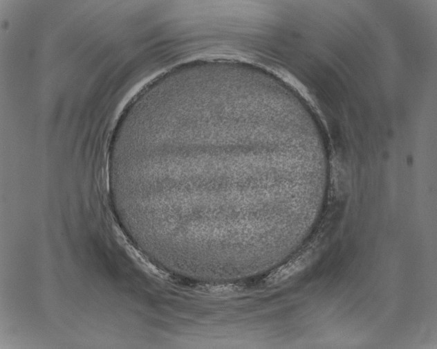 X0000067360791200604131815