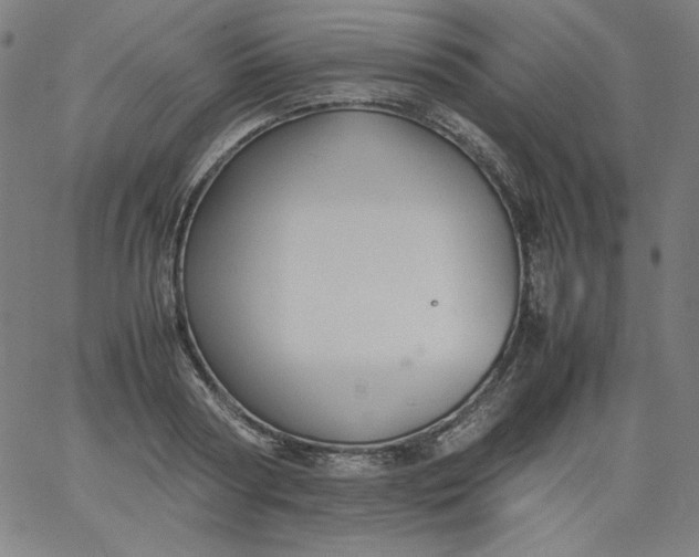 X0000067360794200604131815