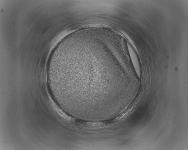X0000067360795200604131815