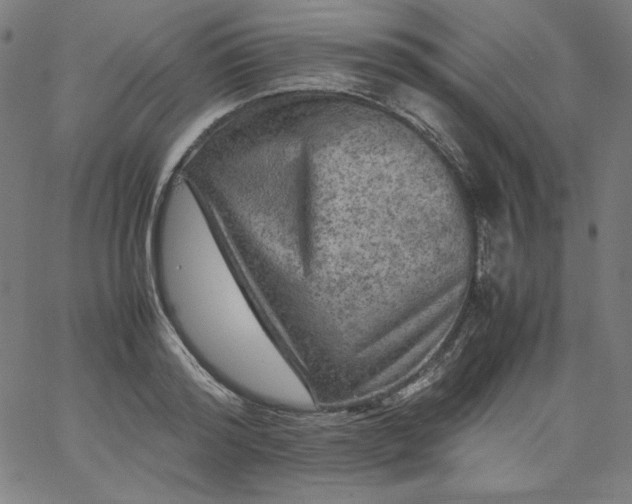 X0000067360796200604131815
