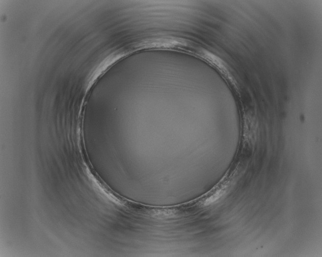 X0000067360802200604131815
